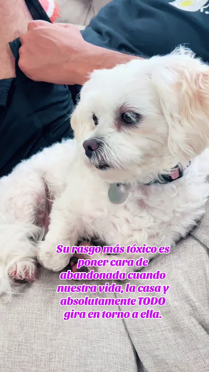 @AZUL🐶🥰