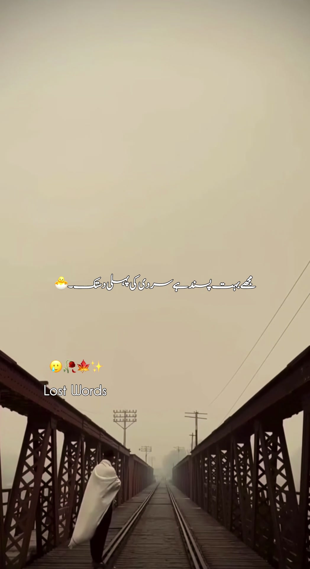 @Silᴇnt Scᴀʀs