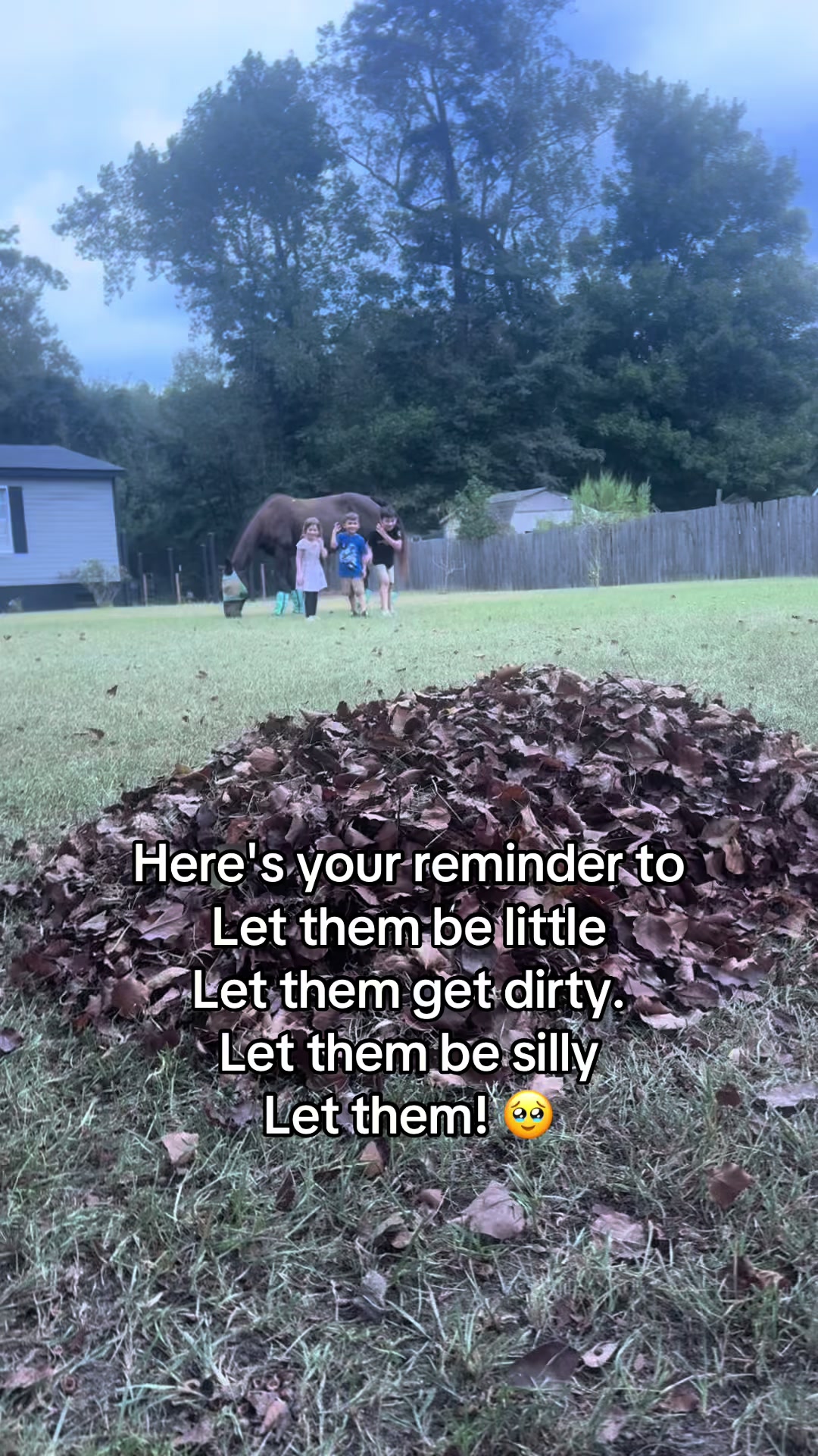 @holly_wood2427