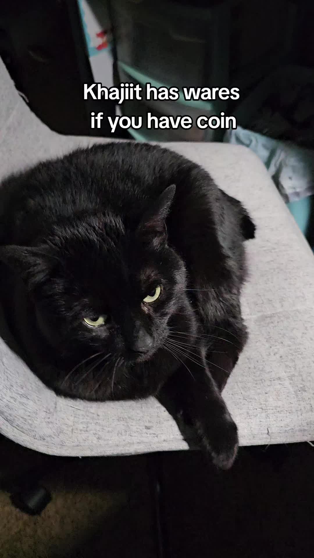 @Nexttoargyle