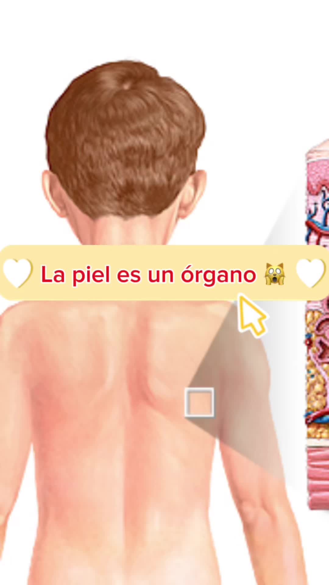 @Heydi Enamorado