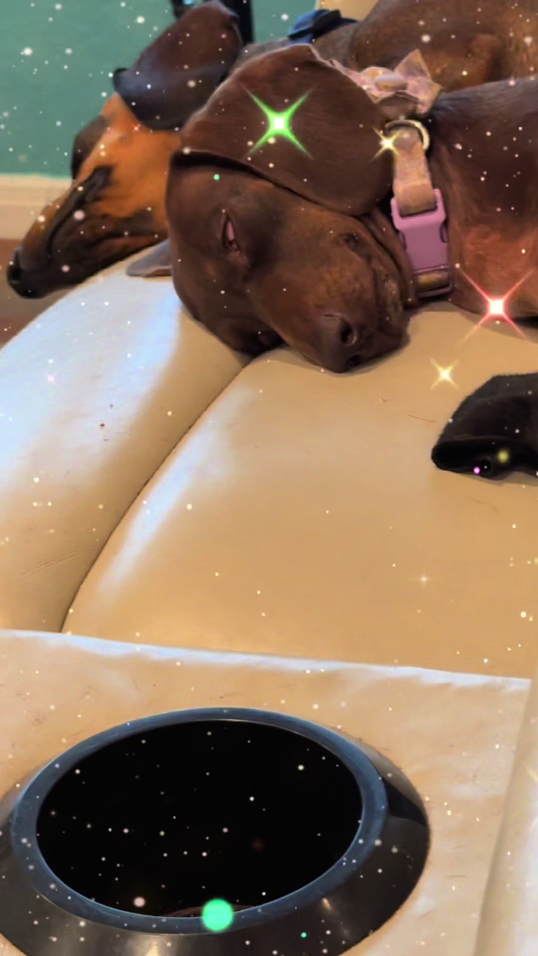 @ozzythedoxy