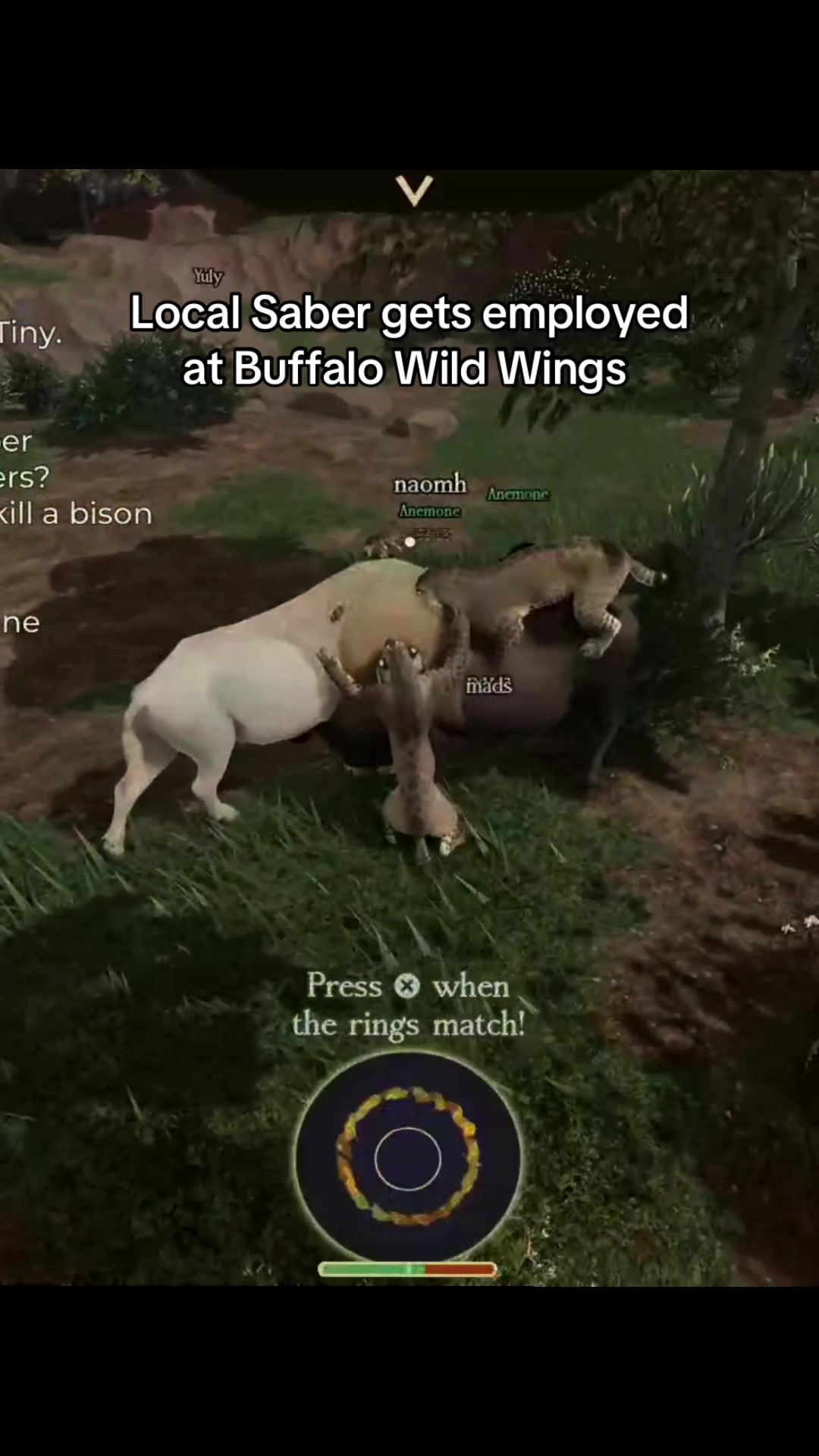 @ECOS ⁅ Feiticeria Herds