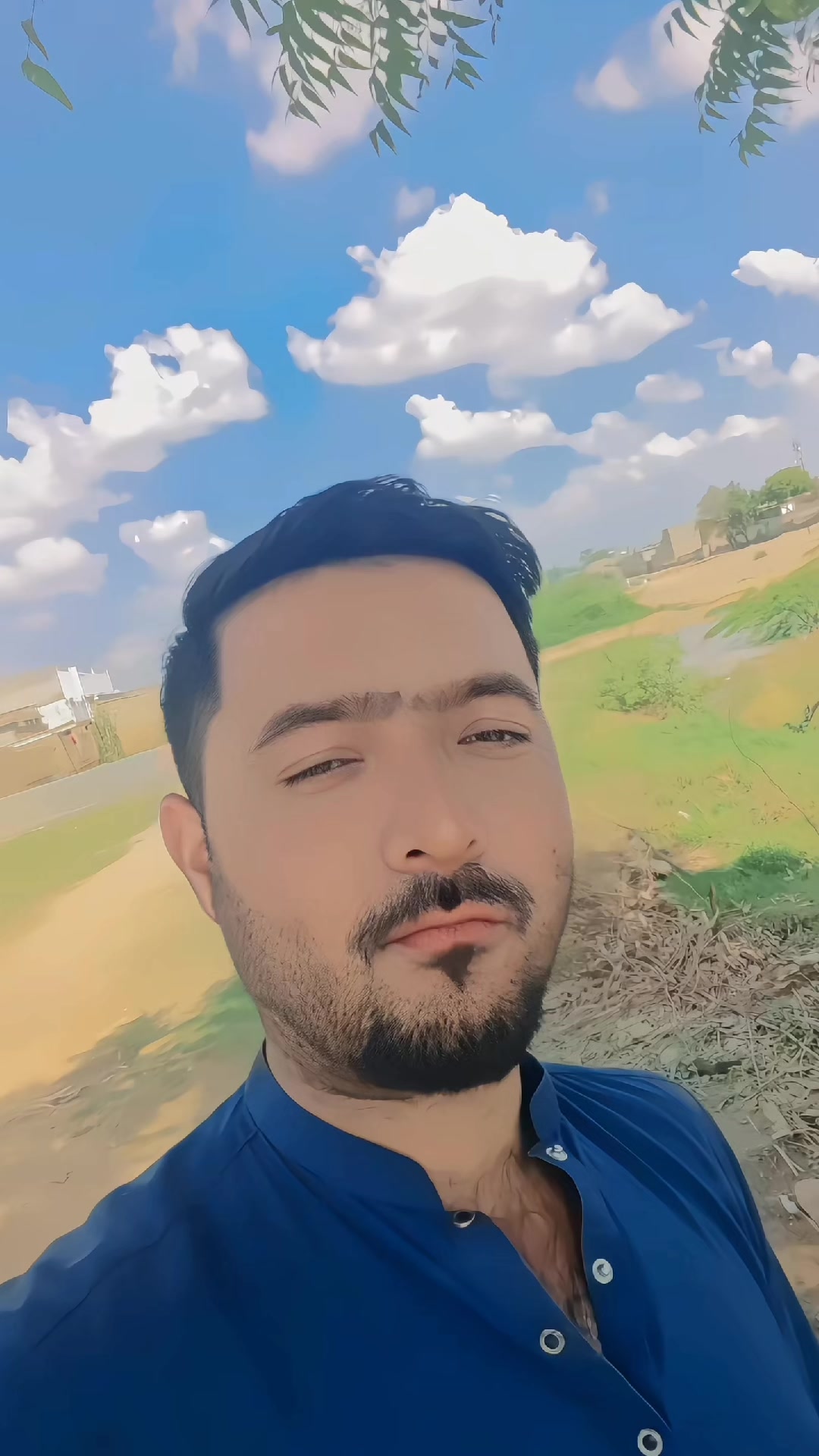@619 basha