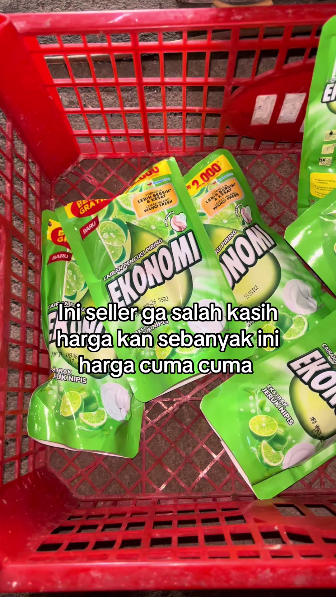 @irma erisa