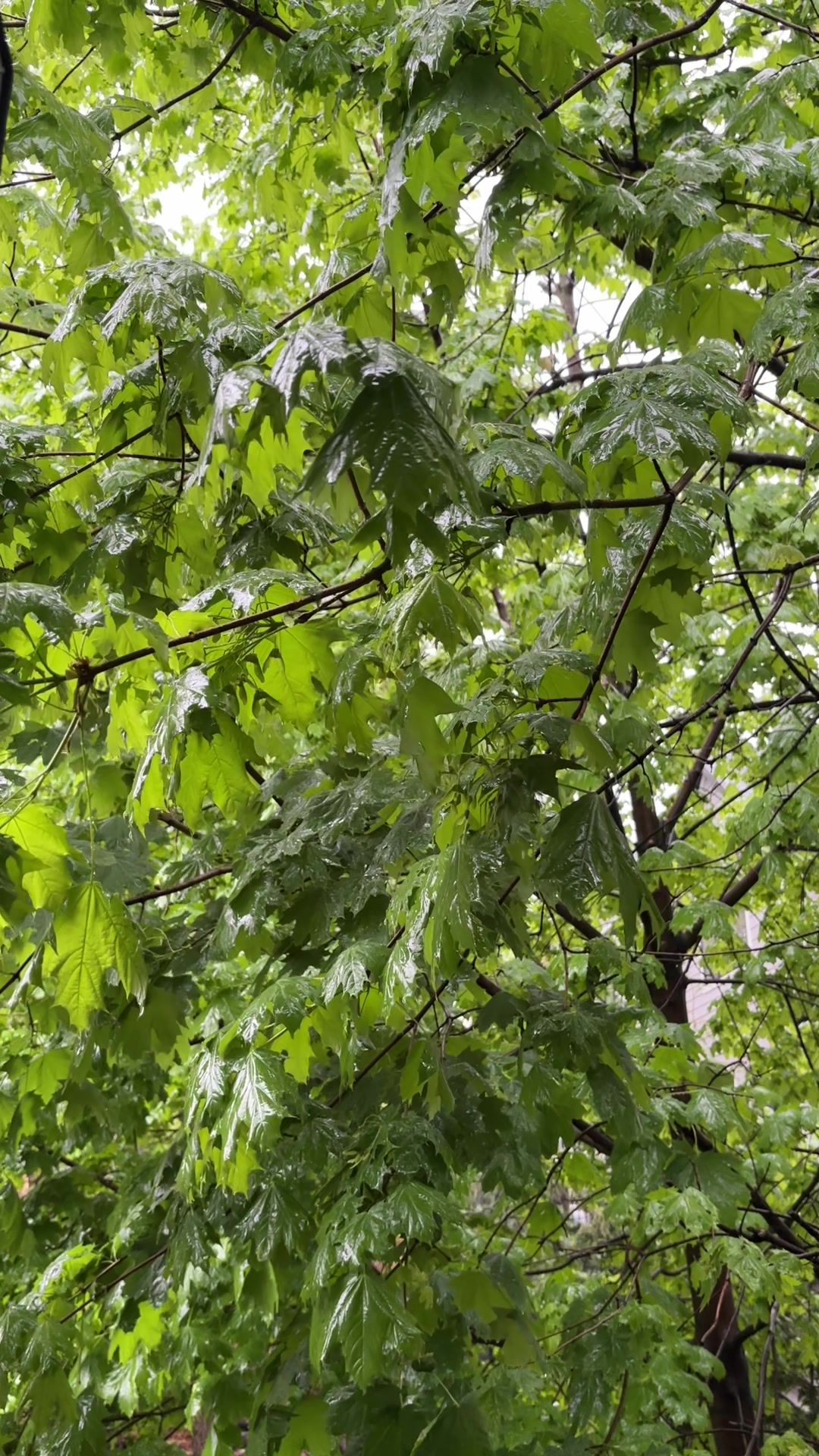 @annie mathilda