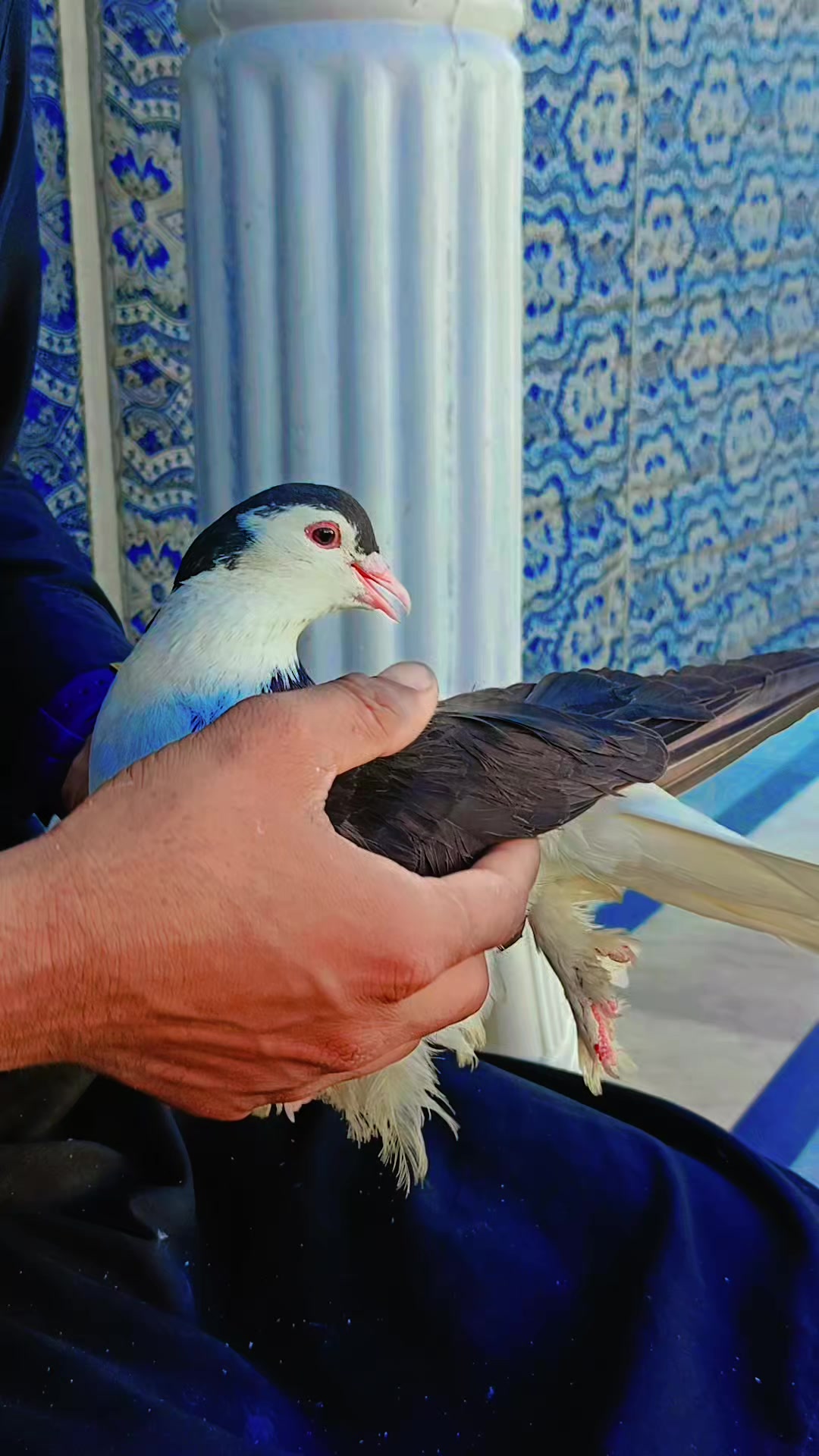 @"Sãîfëë"gëë❣️