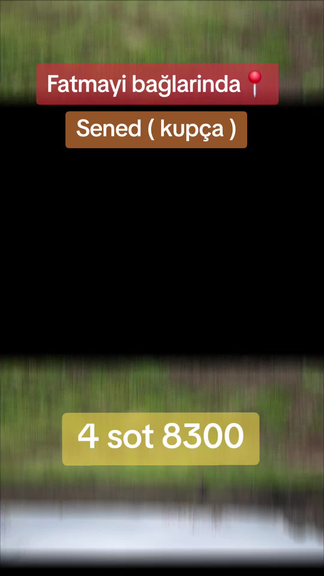 @vipemlak777