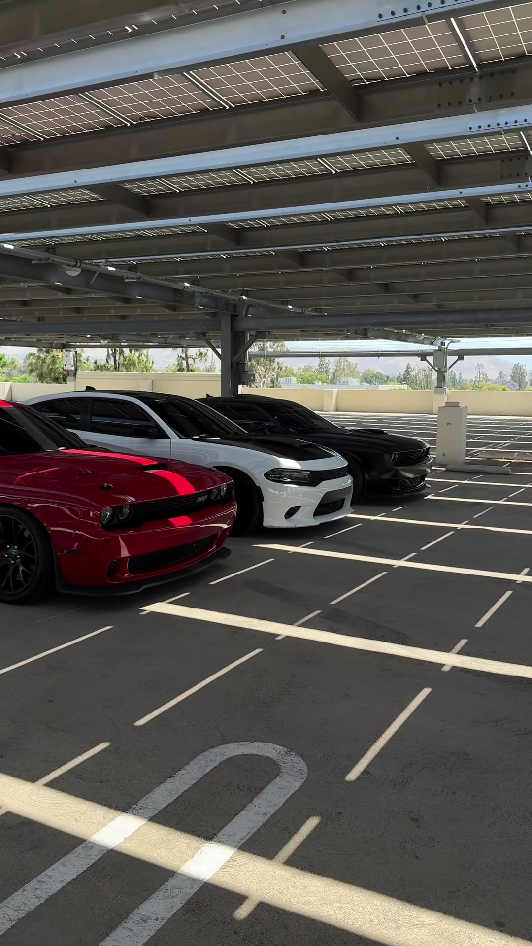 @Srtcam