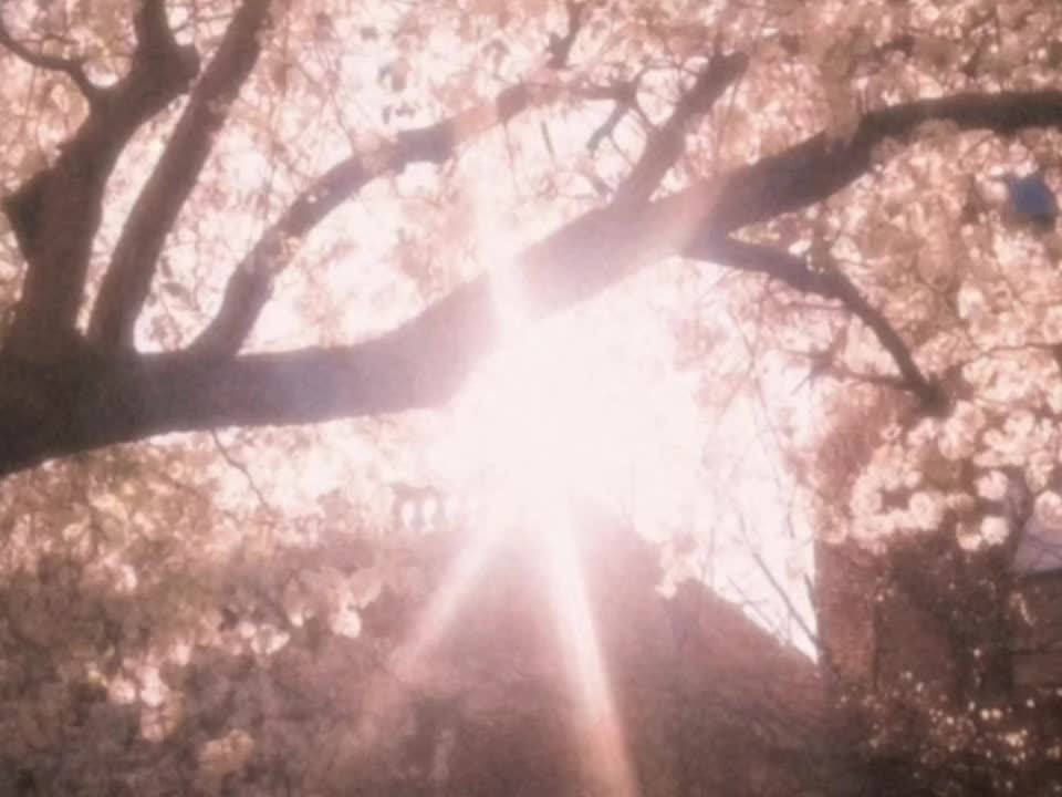 @𝘿𝙄𝙂𝙄𝙏𝘼𝙇𝙄𝙎
