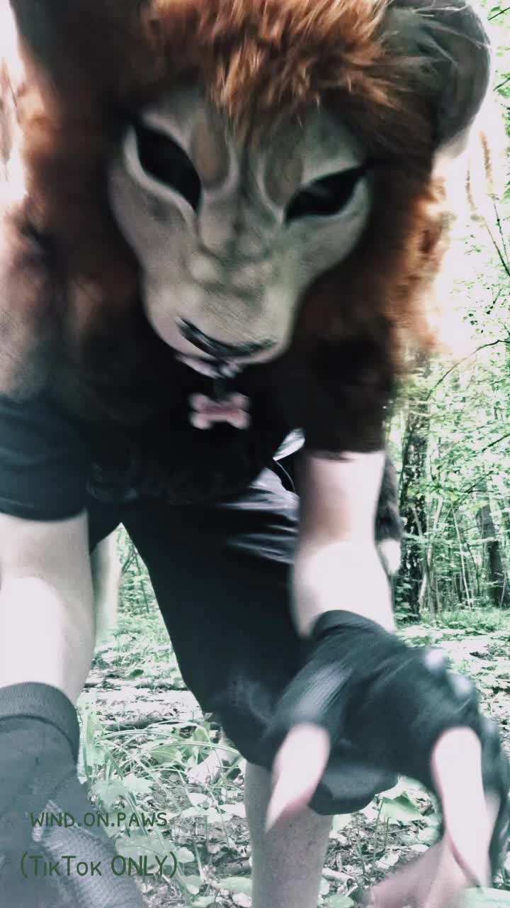 @🍃°• sᴛᴜᴘɪᴅ ʜʏᴇɴᴀ •°🍃