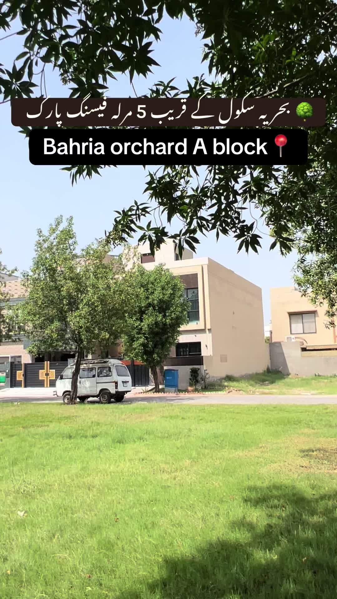 @Haider watto official💫