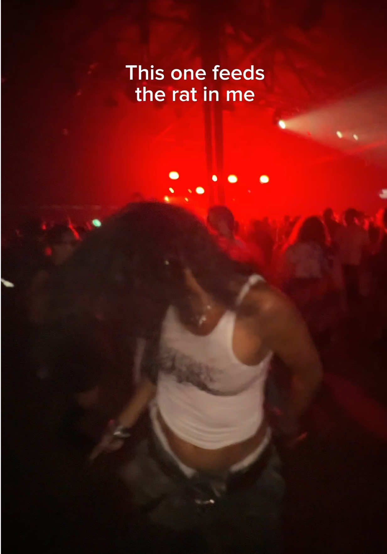 @sarahhguerra