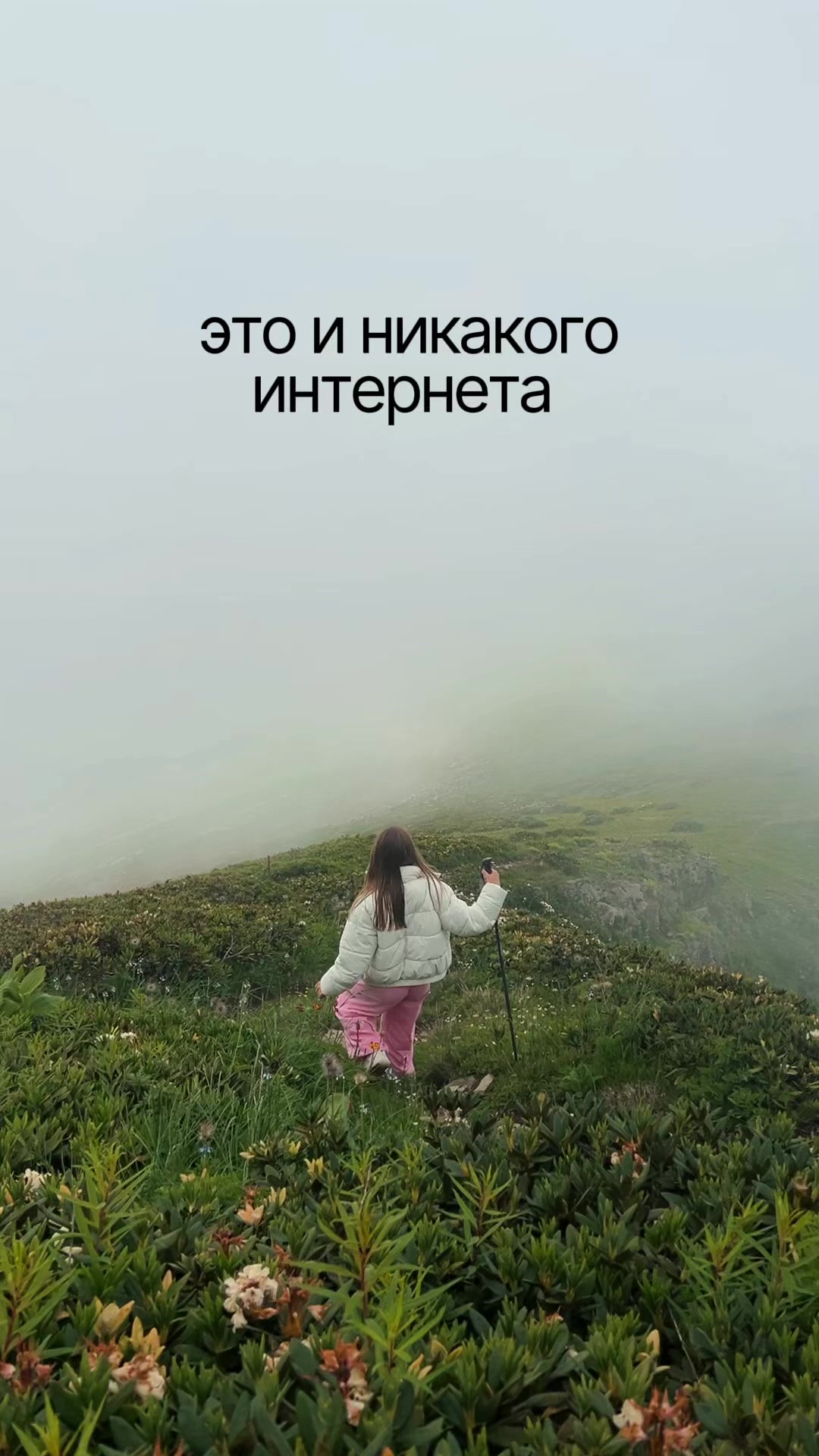 @тгк: Дневник Даши Пеш