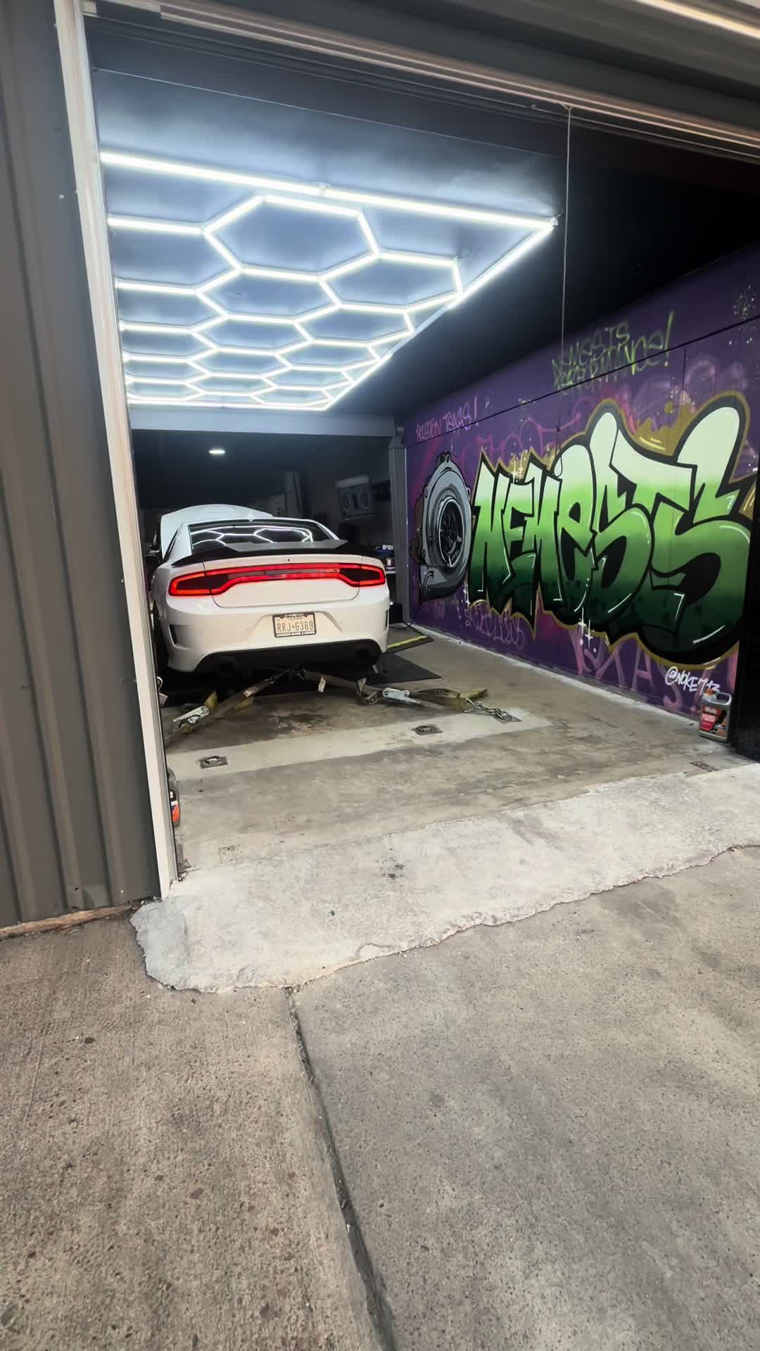 @Onefastscat