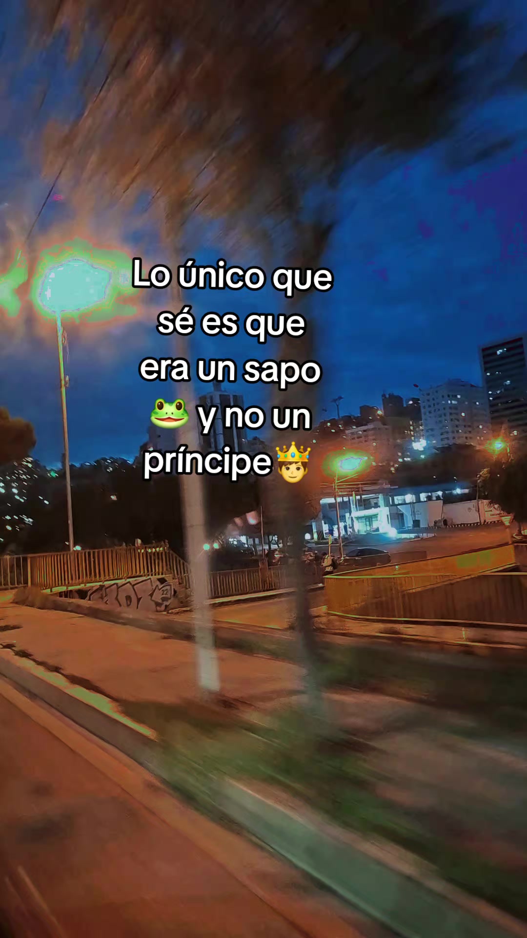 @CLAUDIA FLORES