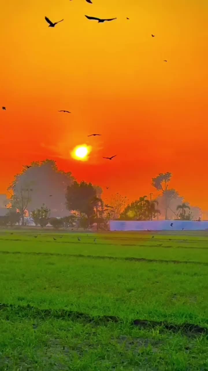 @জীবন্ত লাস 💔💯😭
