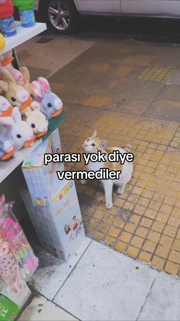 @rolland