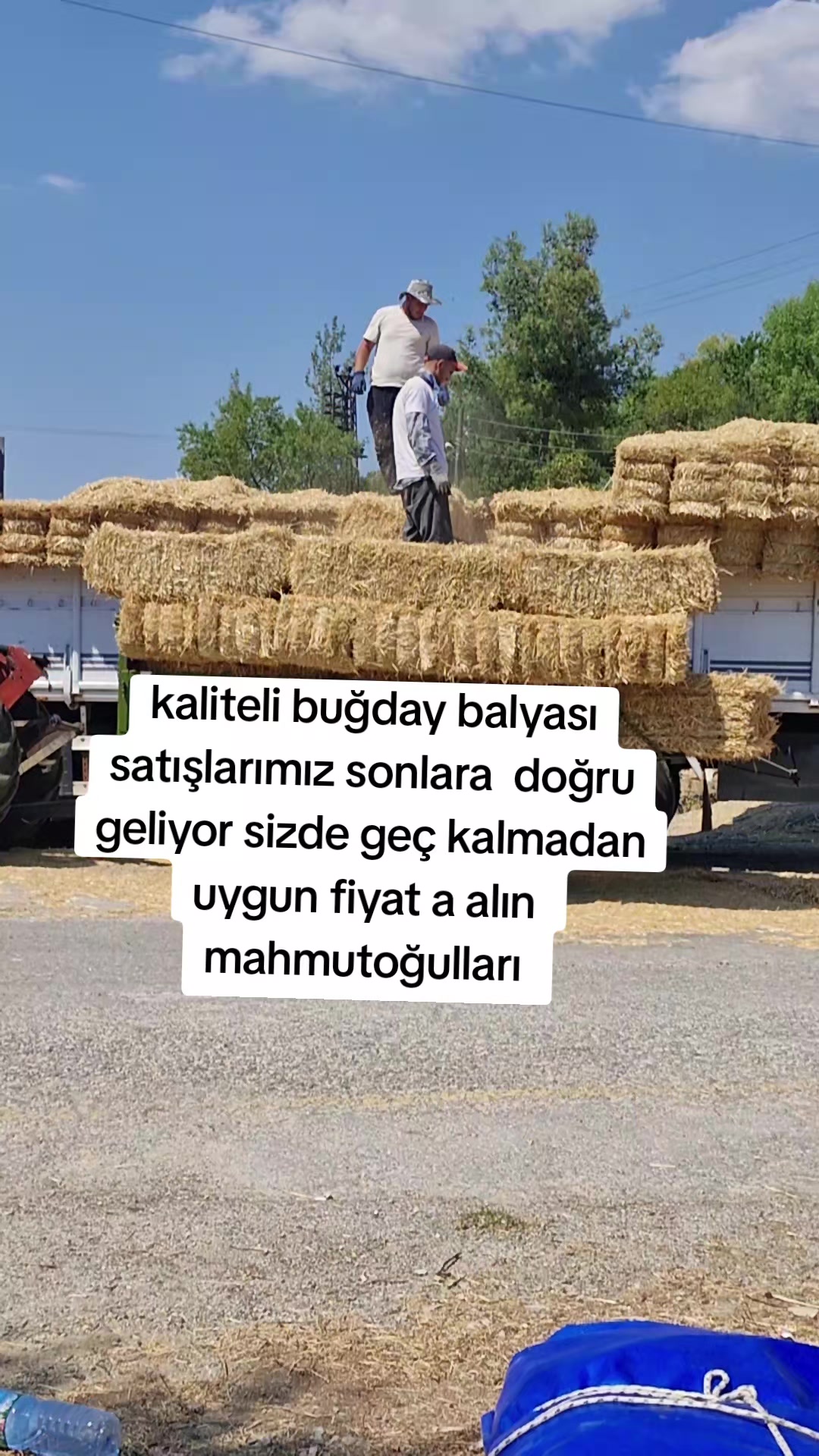 @Cavit G&uuml;reş&ccedil;i