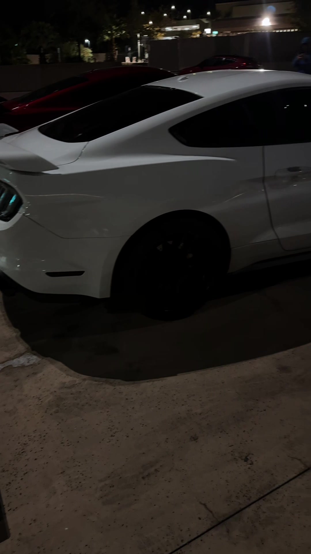 @5.0 Snowyy