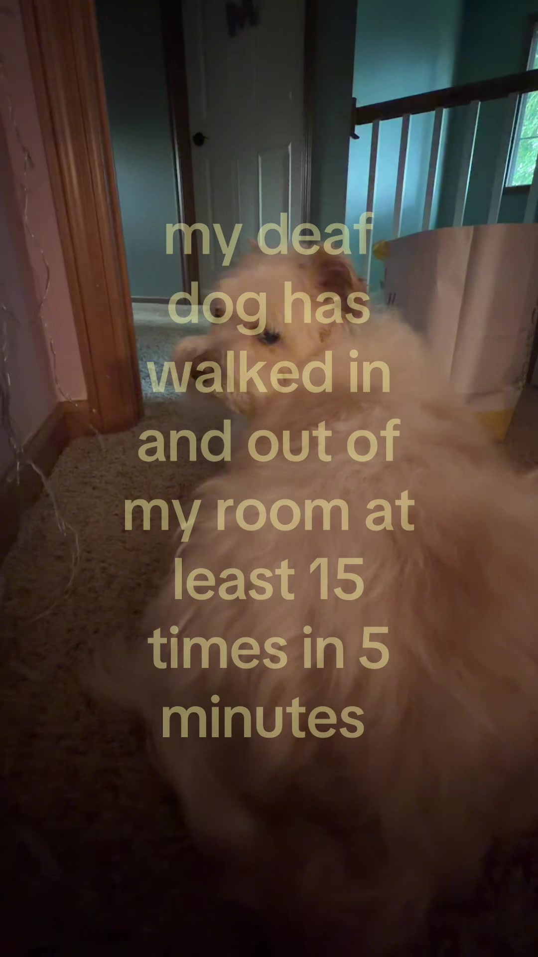 @Lay