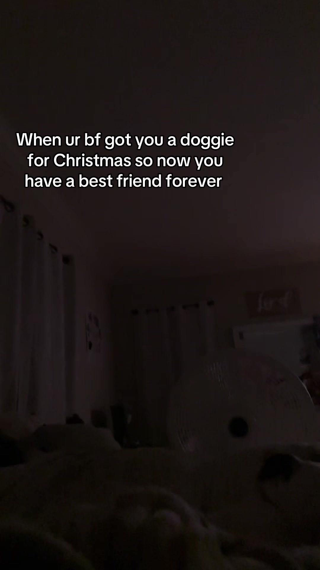 @denise&Uzi
