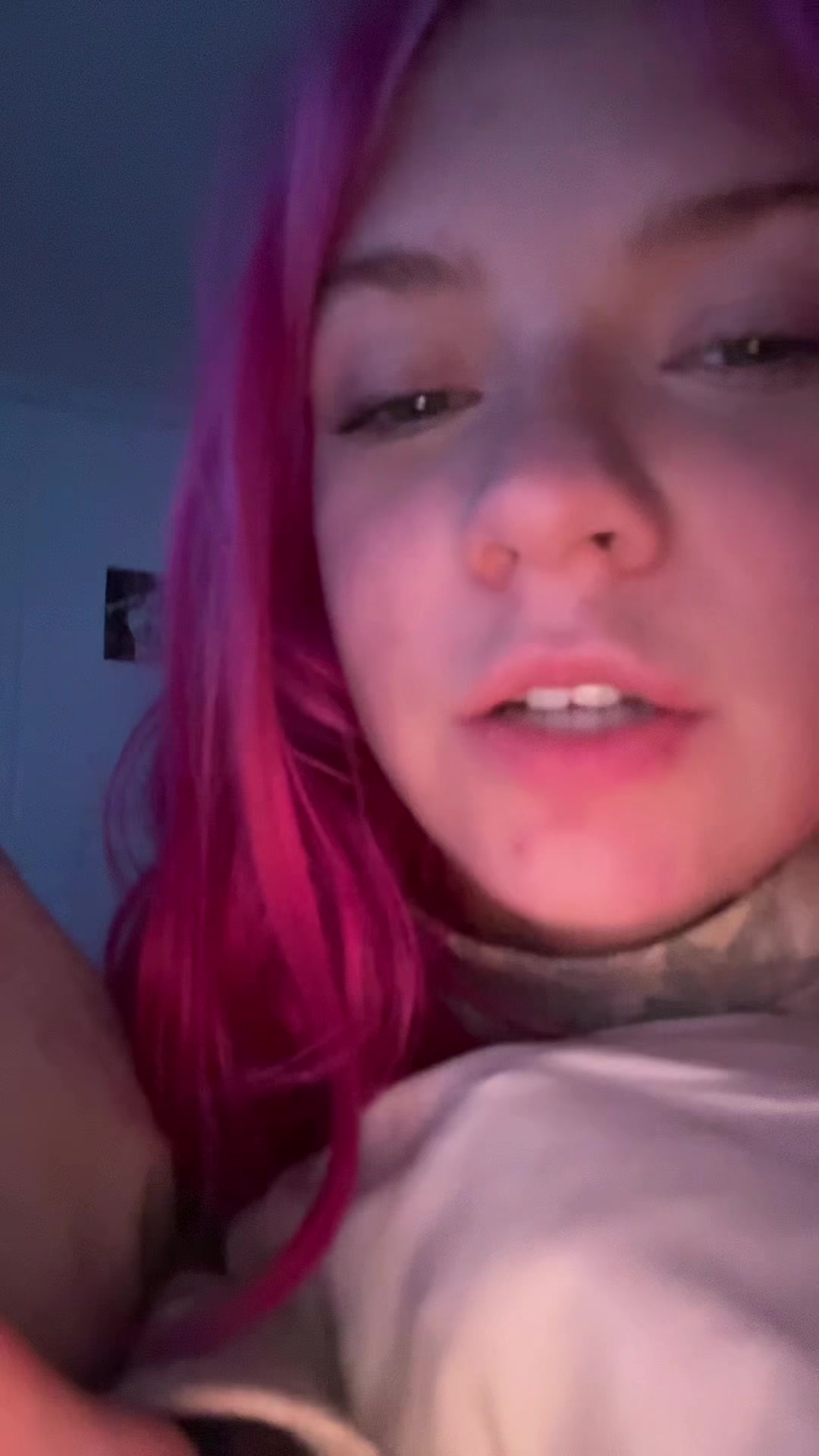 @literlilybusting