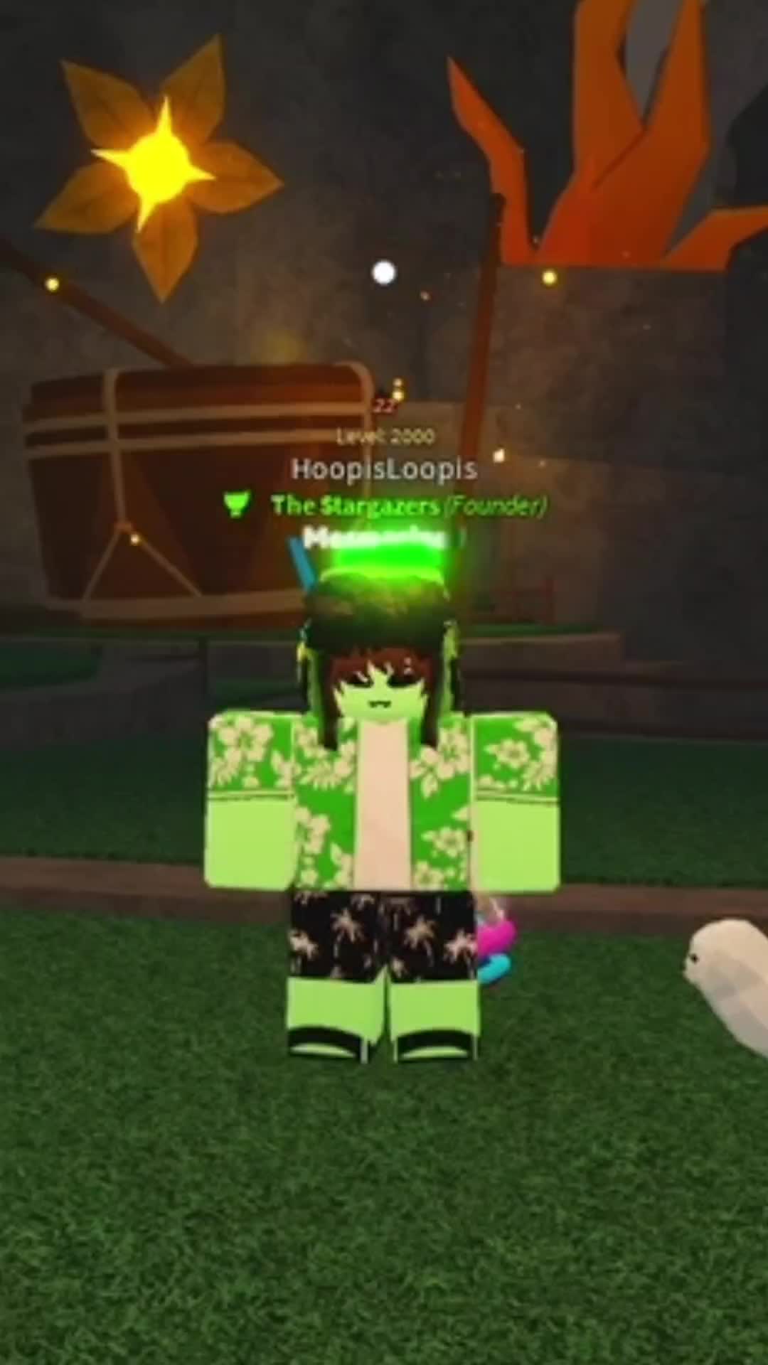 @HoopisLoopis