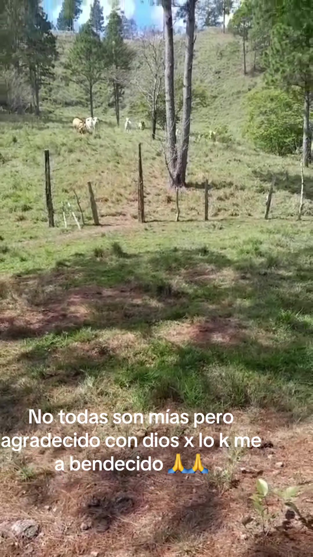 @Samir Buezo