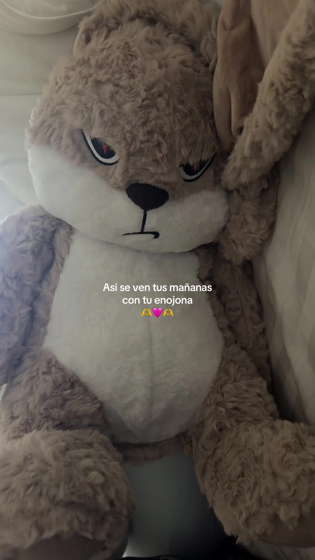 @Bubbles 🫧🧸