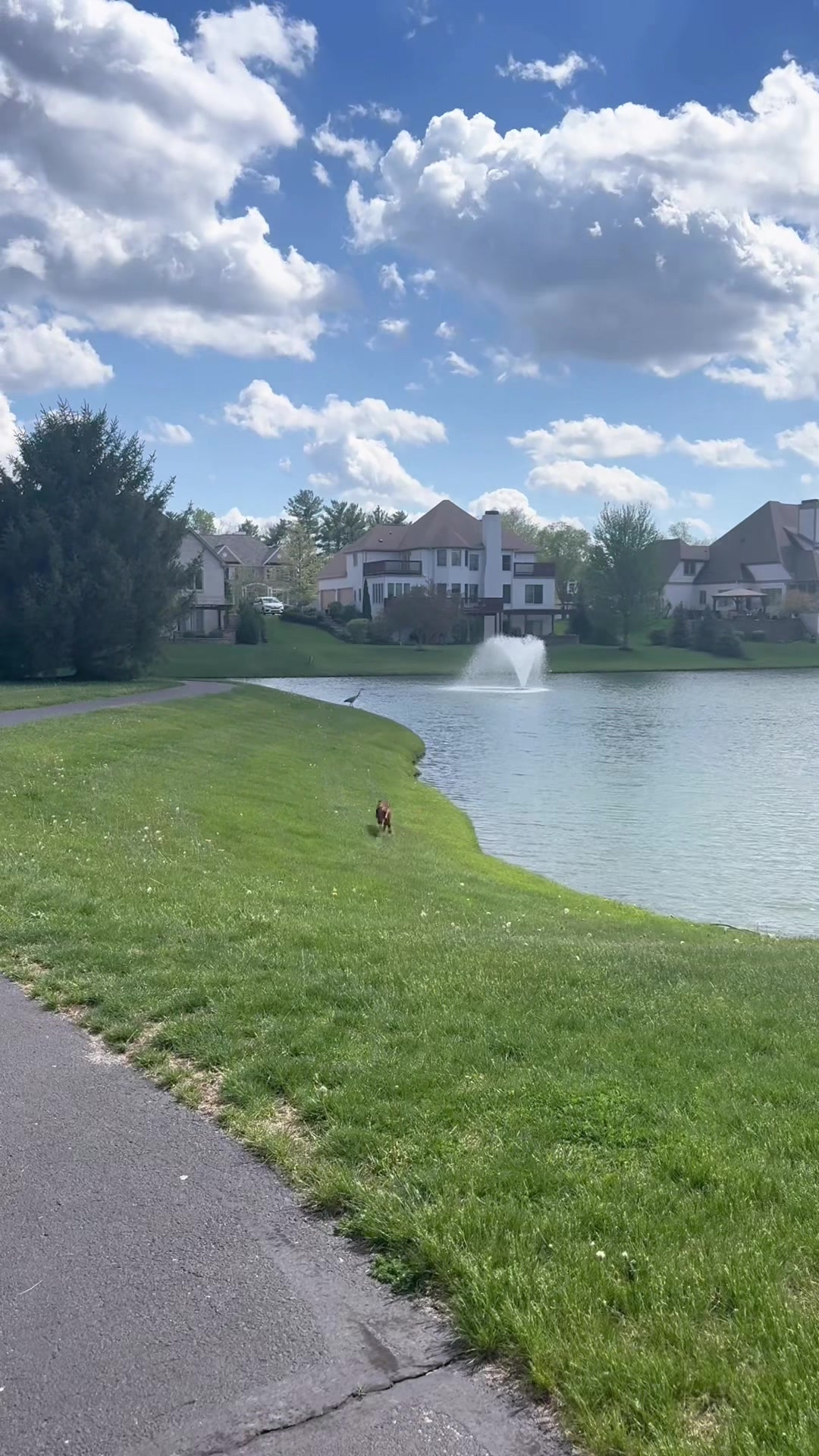 @Wiggle butt