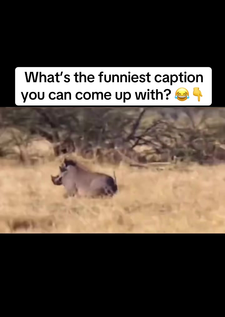 @Warthog