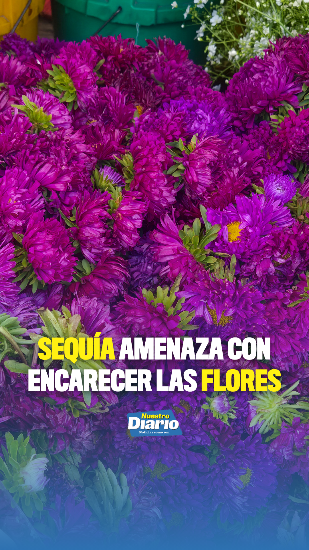 @Tiktok oficial Nuestro Diario