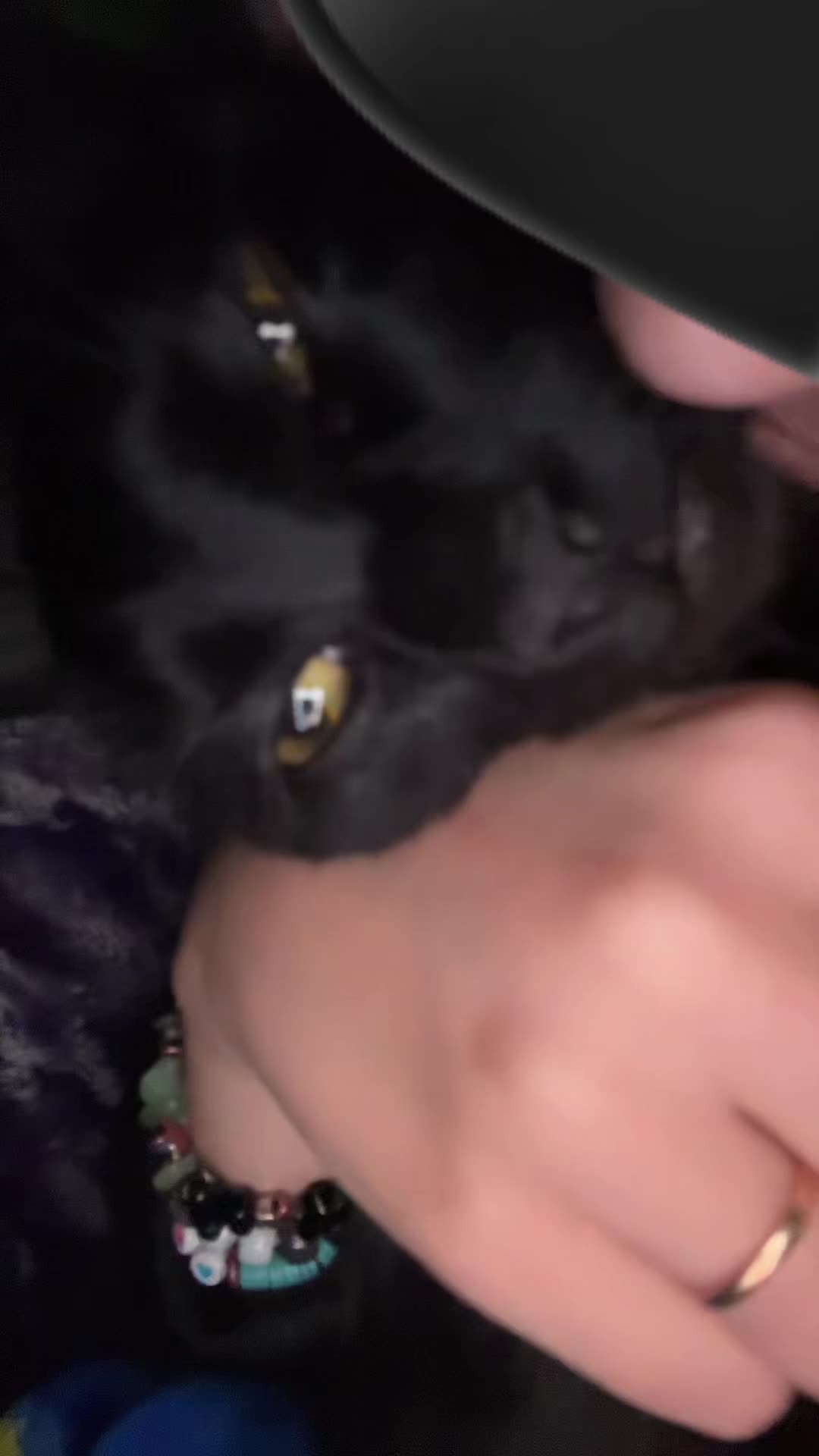 @+🦇{-🩻Enzo🩻-}🦇+