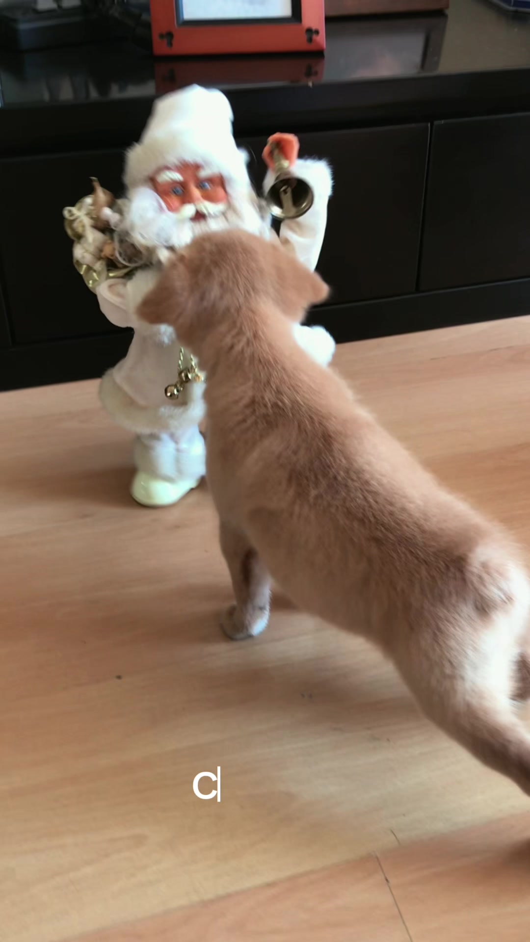 @Diario de Donny🐕 y mami👩🏻