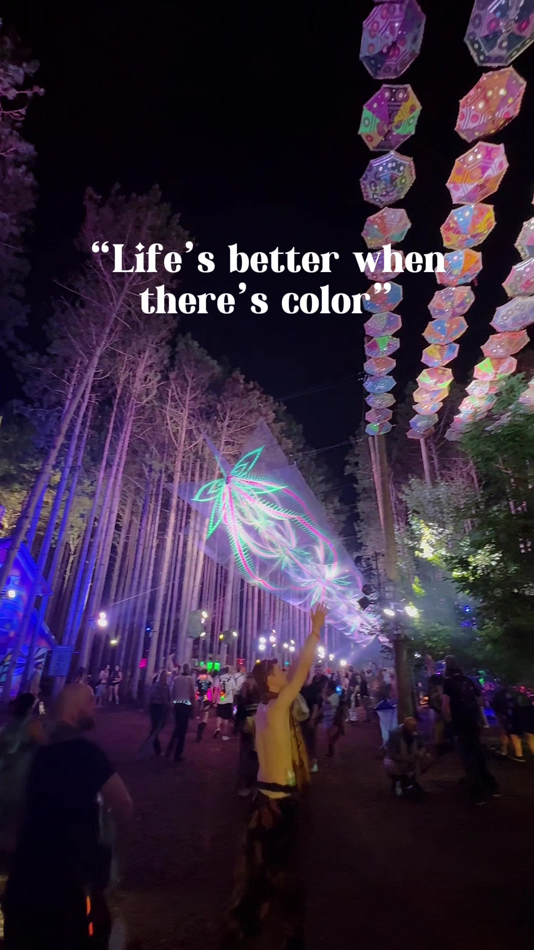 @🧀cheese | mama + eforest tips