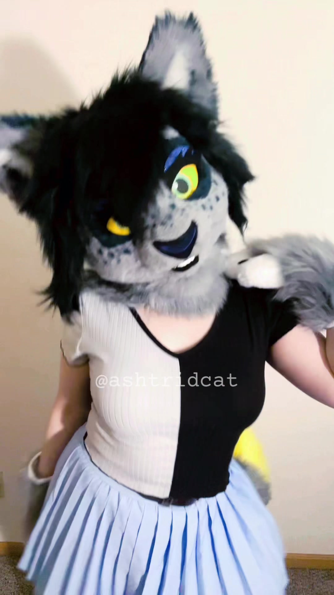 @AshtridCat