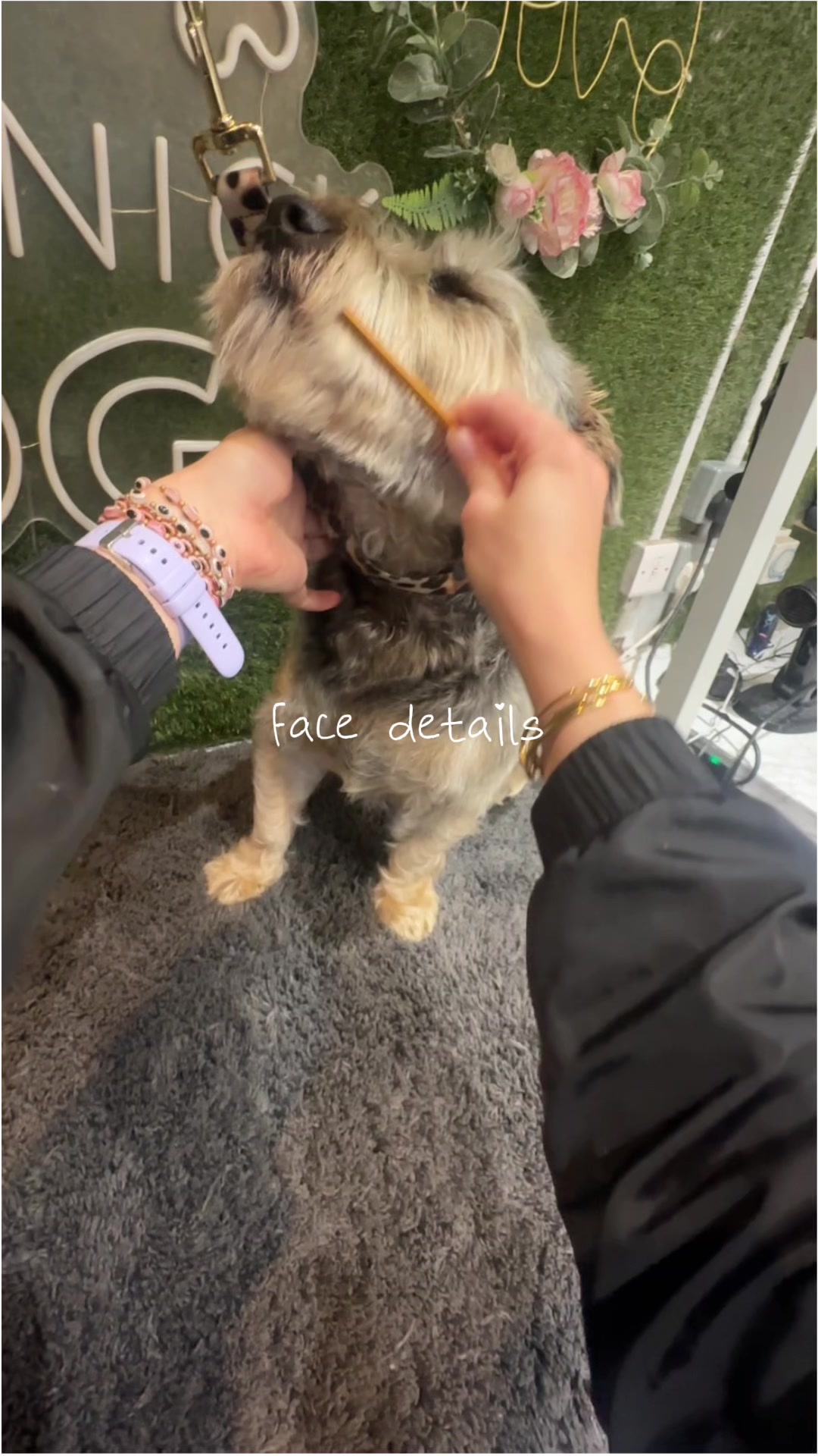 @DevenickDogs