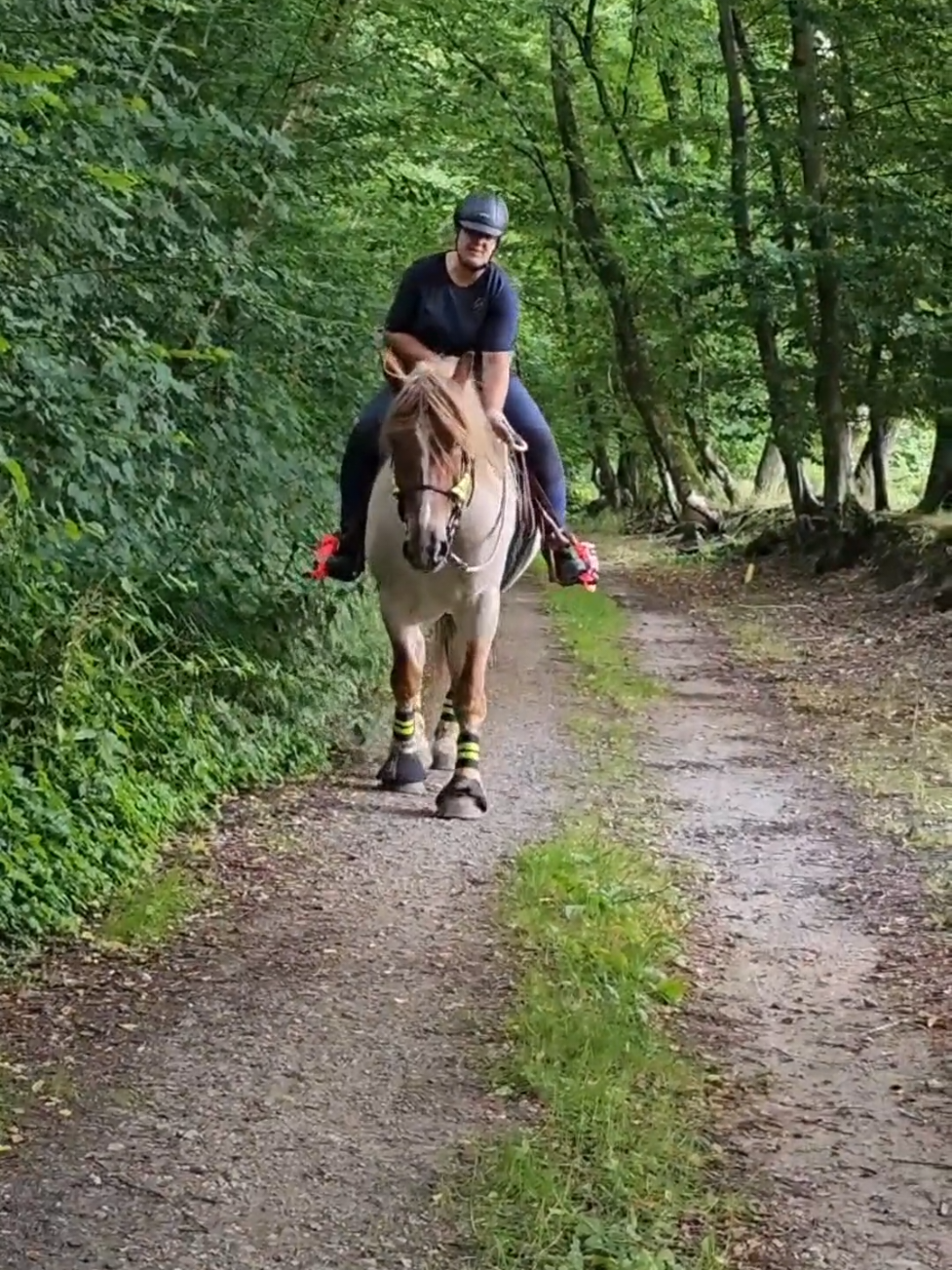 @Berrit Hellenthal