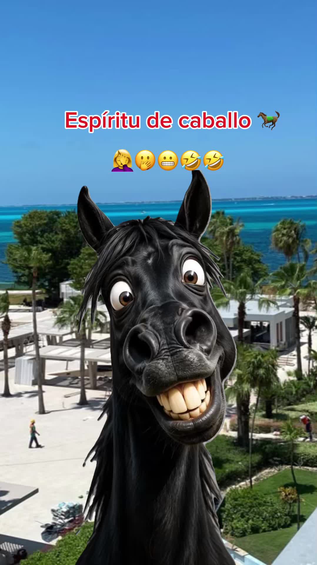@꓄꒐꓄ꋬ ꃳꄲꆰ꒤꒐ꋊ