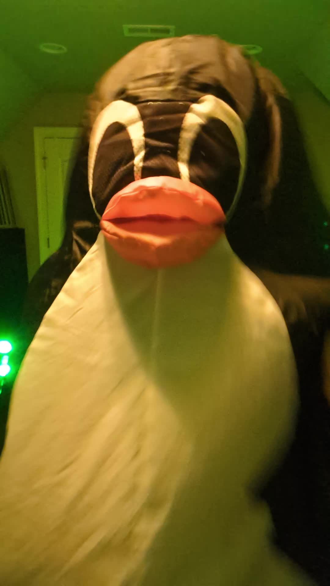 @Flipper
