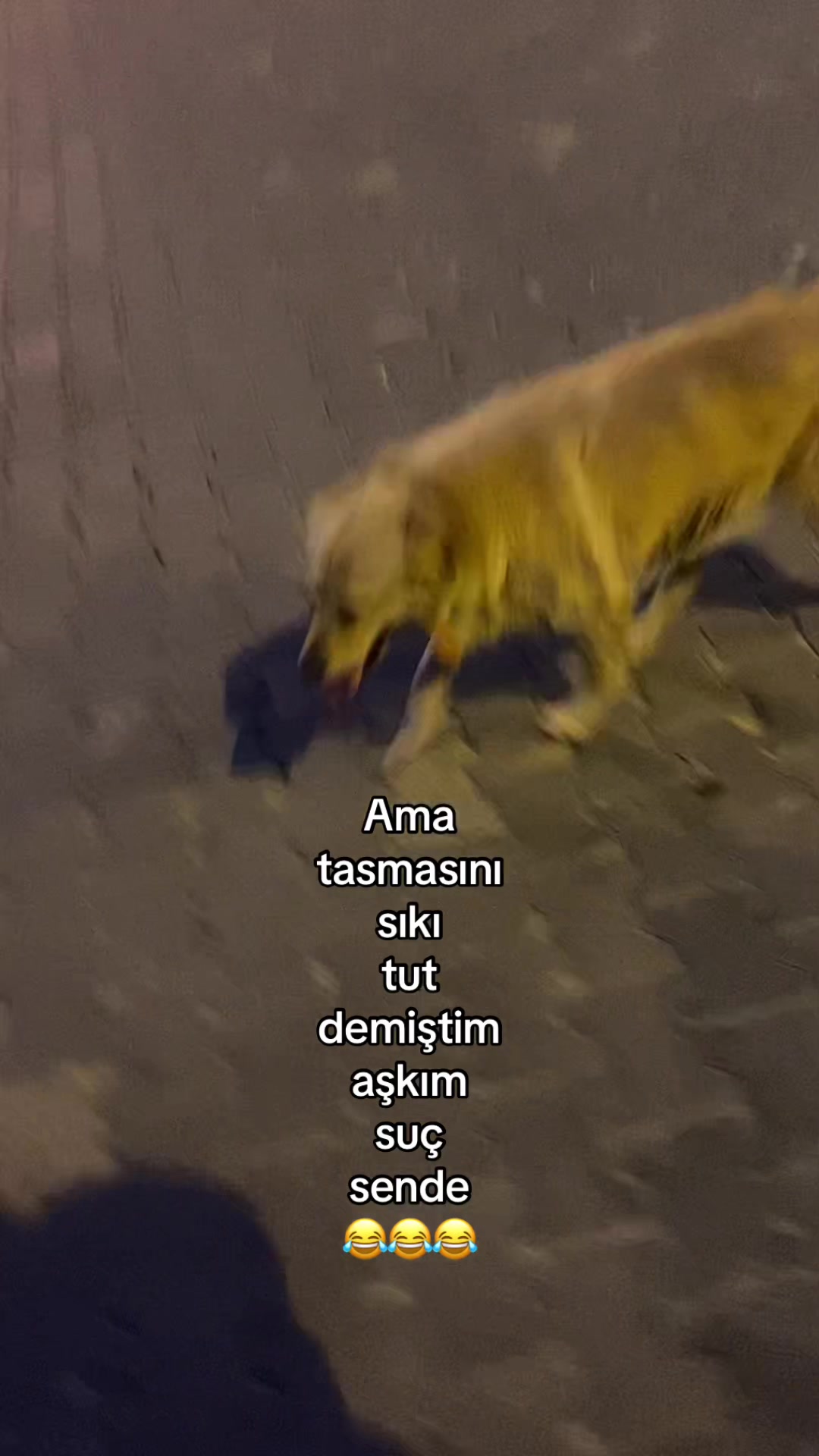 @buse..59