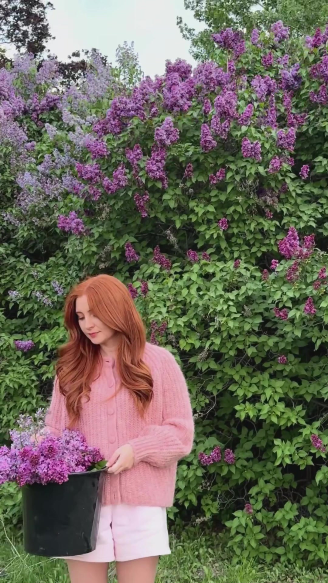 @Audrey 🦢