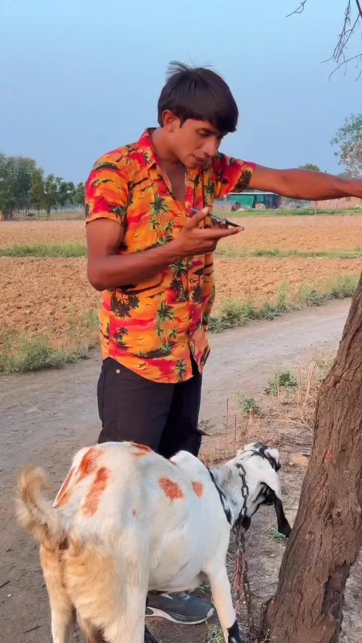@𝑴𝑹. 𝑴𝑨𝒀𝑶 ✦