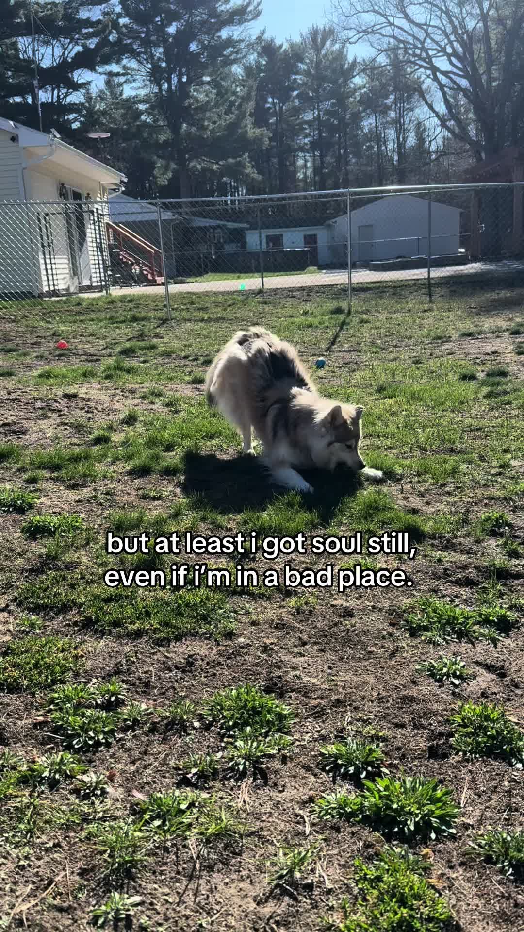 @𝔪 ☾