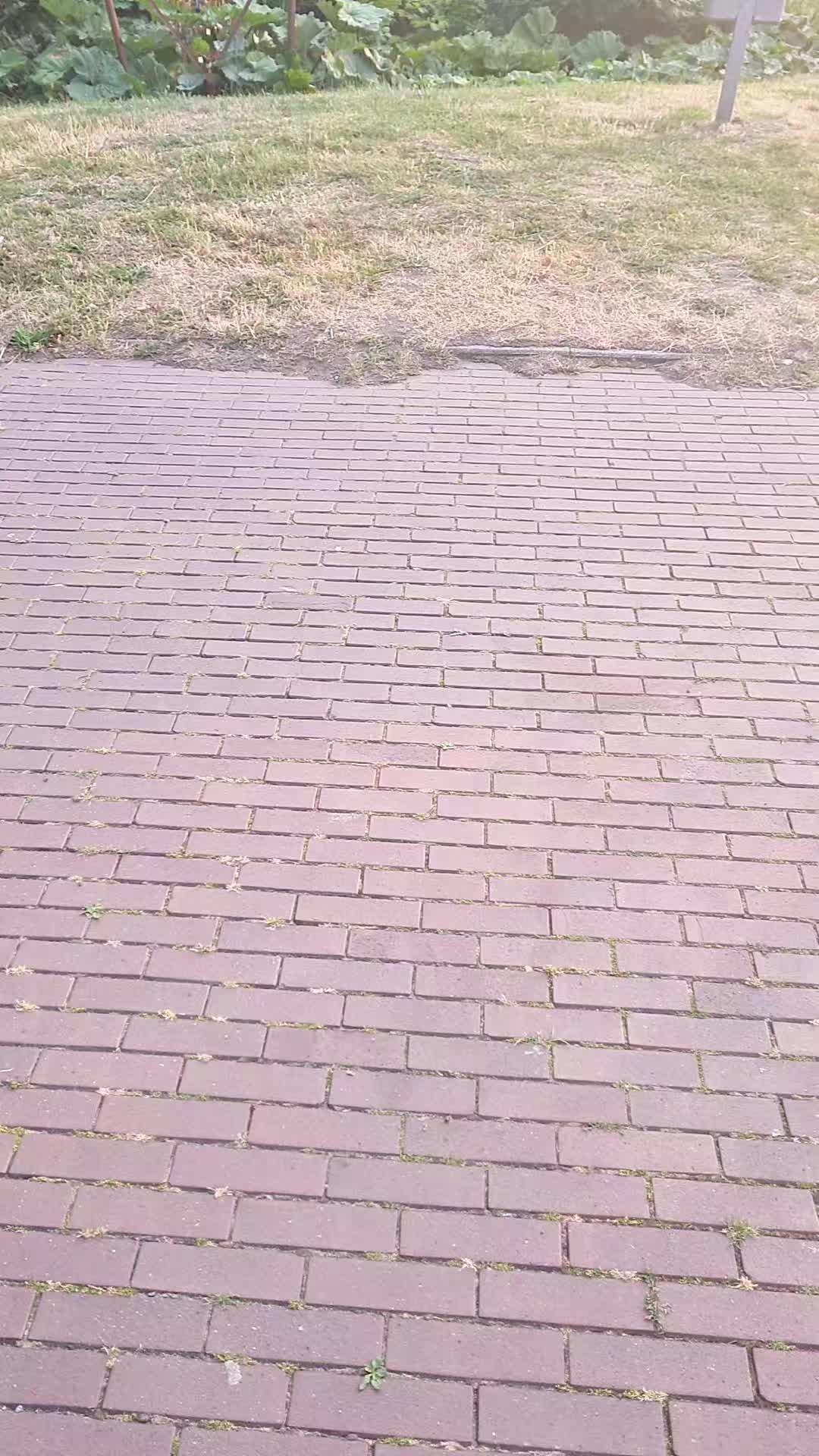 @Matthis_S51
