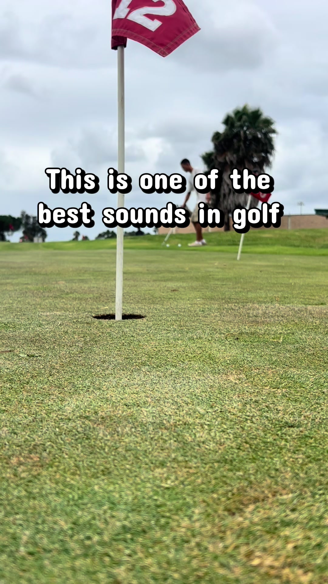 @fittedgolfclub