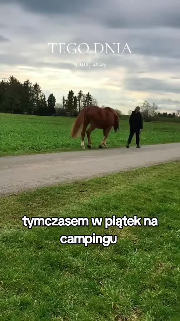 @𝗠𝗮𝗿𝗰𝗶𝗻 𝗗𝗮𝗶𝗹𝘆 🇩🇪