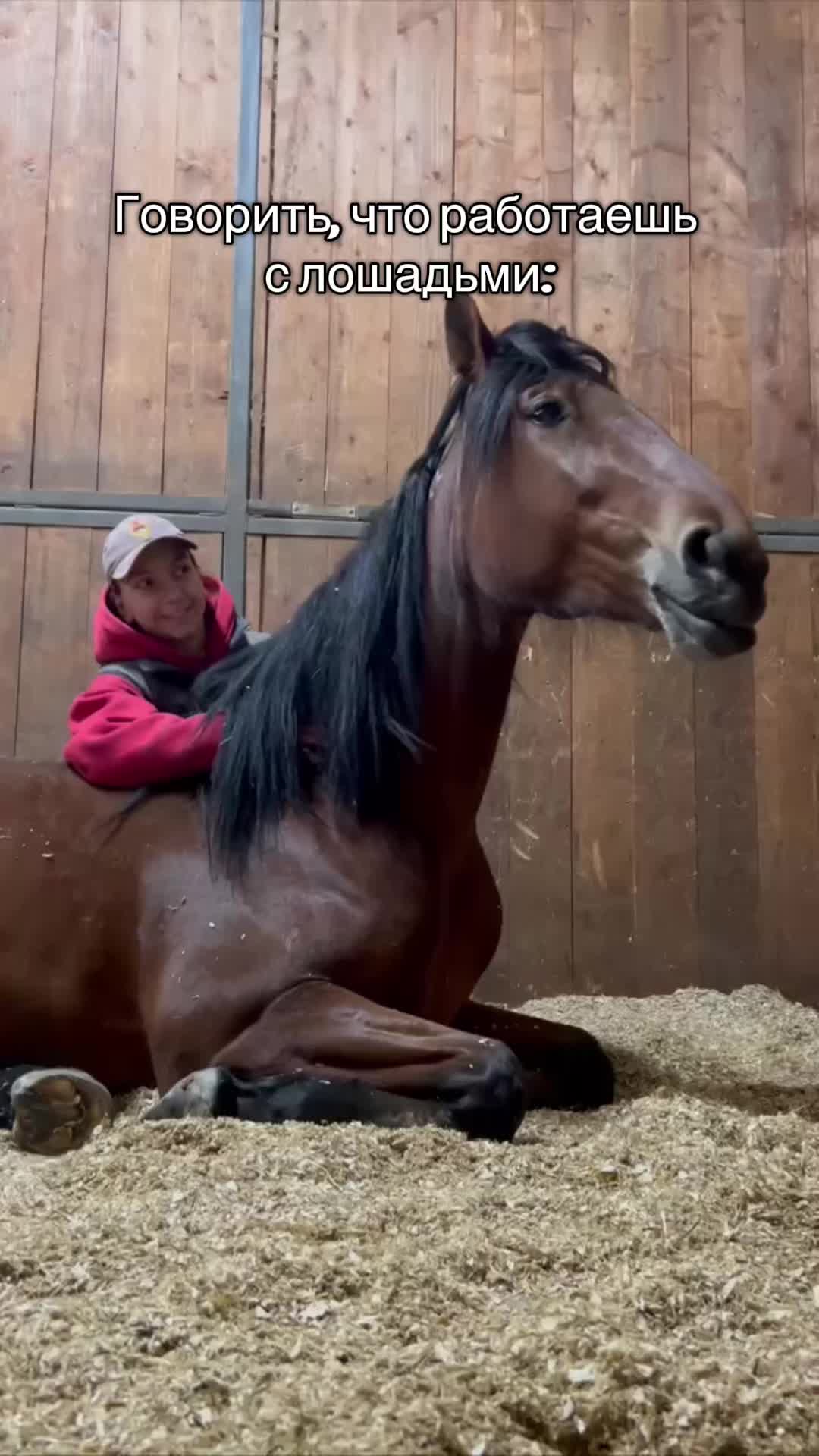 @ТГК: Sonya and the Trotters🐴