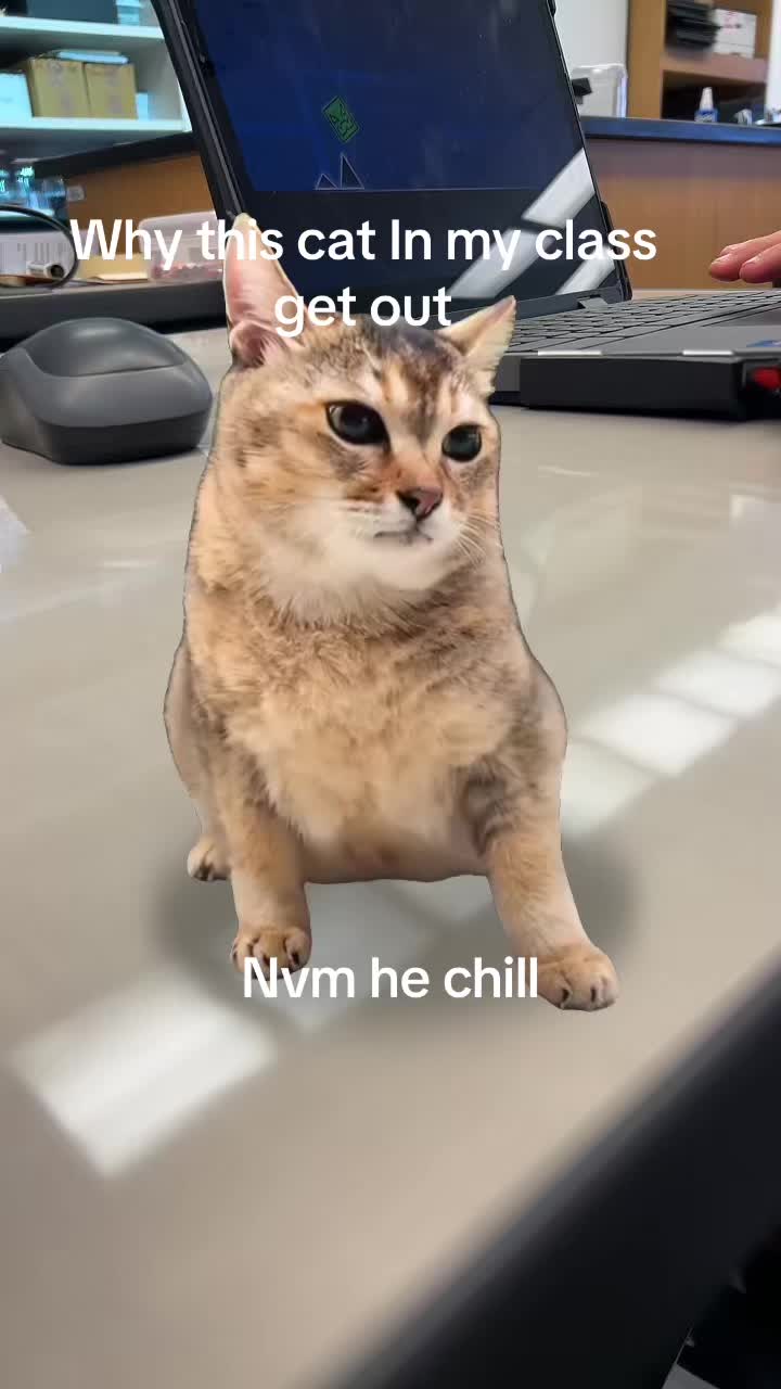 @yomrfatso_edits